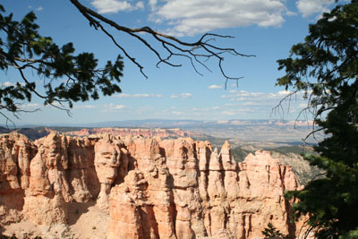 Black Birch Canyon